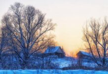 Почему с Абросимова дня 20 декабря запрещались веселья и шумные гулянья