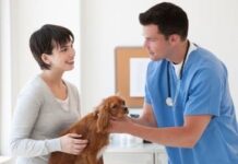 Ветеринарные услуги на дому