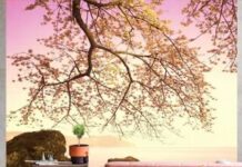 Фотообои в интерьере: актуальные варианты