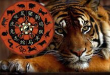 Какие сюрпризы приготовил Черный Водяной Тигр: ведический гороскоп на 2022 год