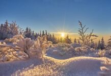 Какой церковный праздник отмечают верующие 21 февраля 2022 года