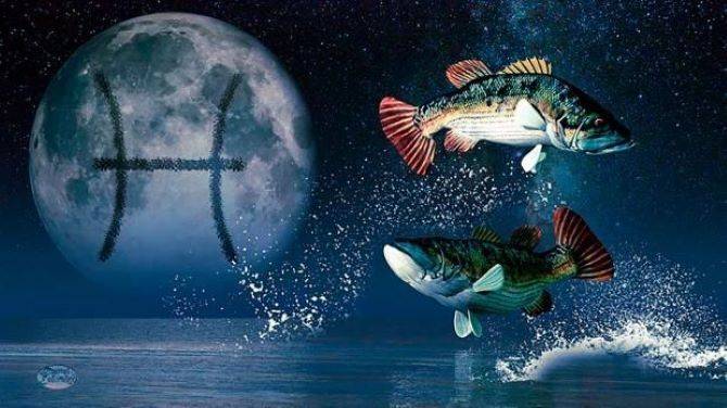 
Новолуние 2 марта 2022: как использовать энергию молодого месяца себе во благо                