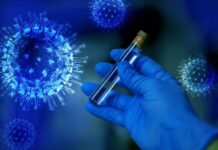 Последние новости о новом штамме коронавируса «Дельтакрон»