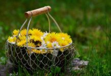 Как на Руси встречали народный праздник Кириллов день 31 марта