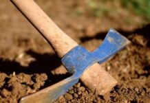 Подготовка грядок для посева, как «разбудить» почву