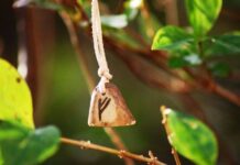 Рунический гороскоп от Игоря Вечерского на неделю с 28 марта по 3 апреля 2022 года для всех знаков зодиака