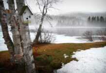 Какой сегодня, 2 апреля, праздник в России и мире