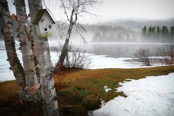 
Какой сегодня, 2 апреля, праздник в России и мире                