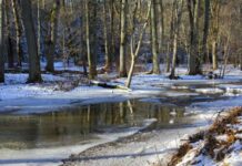 Какой сегодня, 3 апреля 2022 года, праздник в России и мире