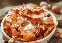 Применение луковой шелухи в огороде