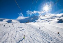 Как выбрать горные лыжи для начинающих