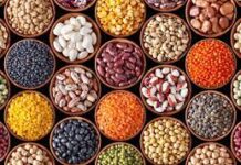 Бобовые: отличный источник растительного белка, клетчатки и полезных фитохимических веществ