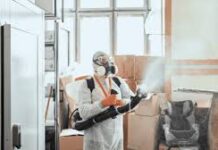 Как часто следует проводить дезинфекцию помещений?