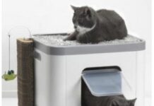 Домики для кошки: помогут домашнему питомцу почувствовать себя максимально комфортно