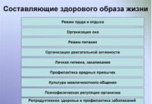 Здоровый образ жизни и его составляющие