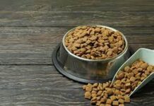 АвелесХан: натуральные корма премиум-класса от производителя