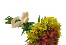 Какие цветы подарить для поднятия настроения?