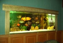 Особенности изготовления большого аквариума