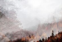 Красивые картинки на телефон