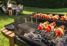 Выбор мангала для дачи