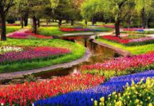 Как попасть в парк Кекенхоф?