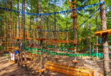 Что входит в строительство развлекательных парков