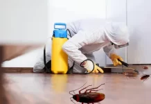 Как уничтожить насекомых в квартире