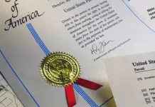 Процесс получения патента на инновацию: этапы и нюансы