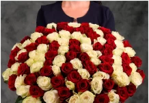 Роскошь и великолепие: 101 роза в букете — идеальное признание в любви