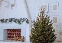 Живая ель на Новый год: выбираем, ухаживаем и сохраняем свежесть праздничного дерева