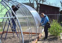 Влияние каркаса на прочность и долговечность теплиц из поликарбоната