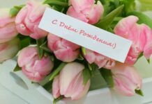 Эмоциональный заряд поздравлений: влияние на получателя и отправителя