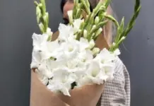 Букет из белых гладиолусов: элегантность и нежность в одном