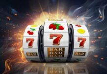 Виды слотов в казино Max Bet