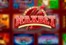 Максслотс: широкий выбор игр
