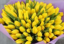 Тюльпаны для срезки: какие сорта лучше всего подходят для букетов