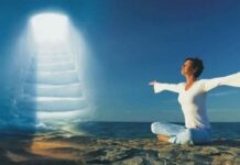 Секреты саморазвития: путь к гармонии и счастью