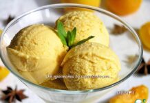 Абрикосовое мороженое с бадьяном
