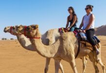 В Оман — без визы. Правила отдыха на сказочном Востоке