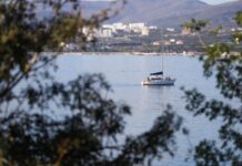 Число поисковых запросов по отелям в Геленджике выросло вдвое