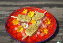 Эскимо на палочке-мороженое ПП