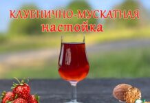 Клубнично-мускатная настойка