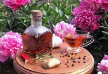 Оливковое масло со специями-классная заправка к салатам