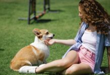 Россияне стали чаще отдыхать с животными, показало исследование