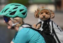 Самые классные велотуры: как готовиться, куда ехать, что смотреть