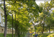 От заката до рассвета: сап-туры вокруг живописного Каменного острова