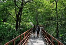 В России началась сертификация туристических маршрутов