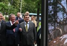 Внутренний туризм растет на Дальнем Востоке, заявил Иванов