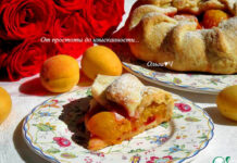 Галета с абрикосами и сливами