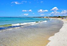 Популярные у туристов пляжи подверглись нашествию опасных существ